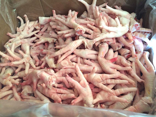 Halal Frozen Chicken Paws Available for Export