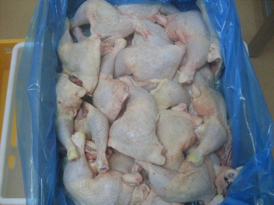 Trusted Frozen Chicken Parts Exporter
